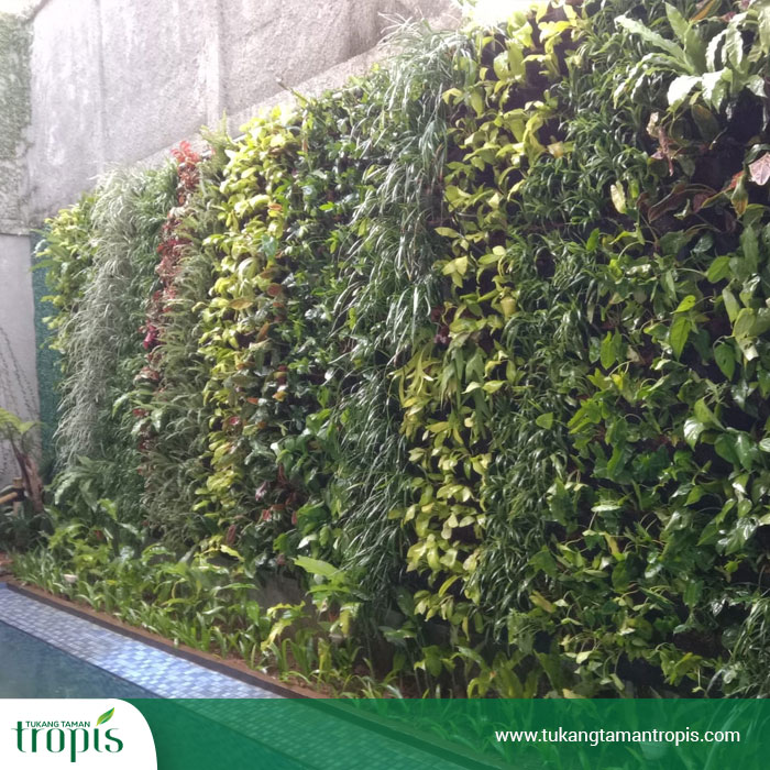 Jasa Vertical Garden BSD